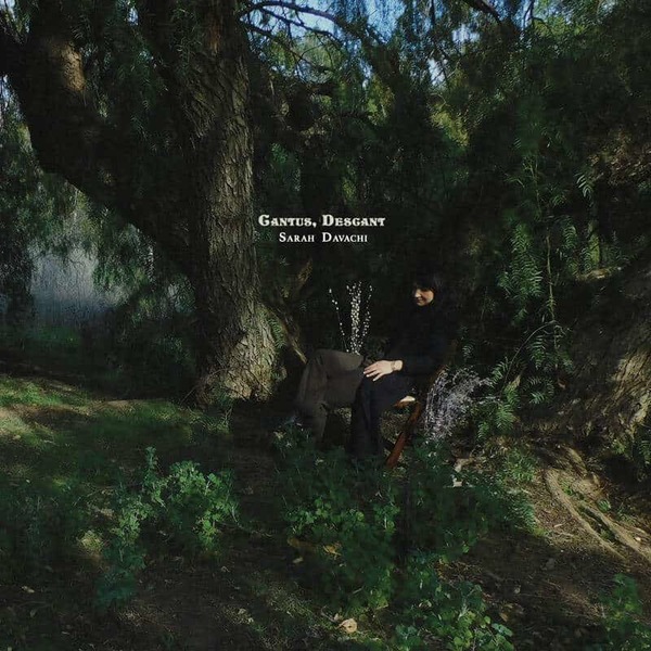 Sarah Davachi - Long Gradus, 2x Vinyl LP