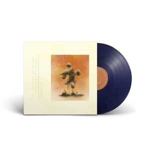 Tycho - Awake (Blue Beige Vinyl) 12'' Vinyl - 27.00€ : Denovali