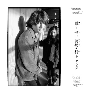 Sonic Youth - Youth Washing Machine 2x12'' Vinyl - 32.00