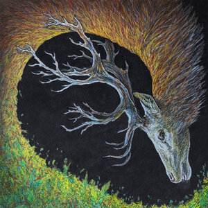 Denovali Record Store - Online Store for Electronic, Ambient, Jazz